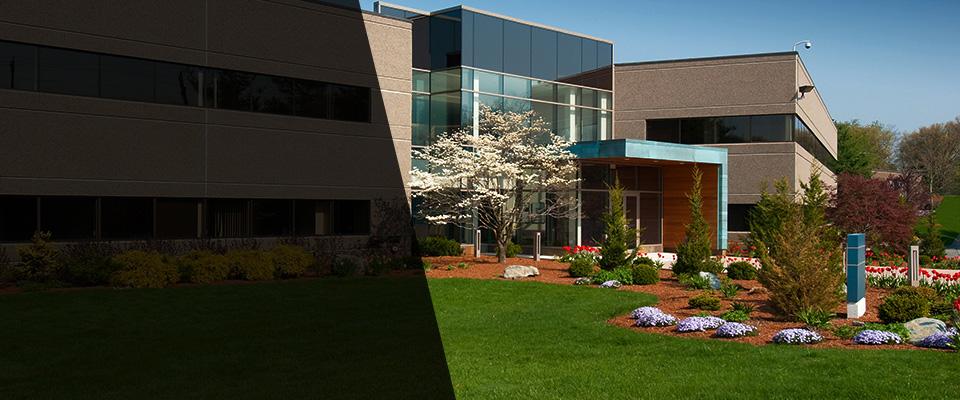 Cicero Landscapers
