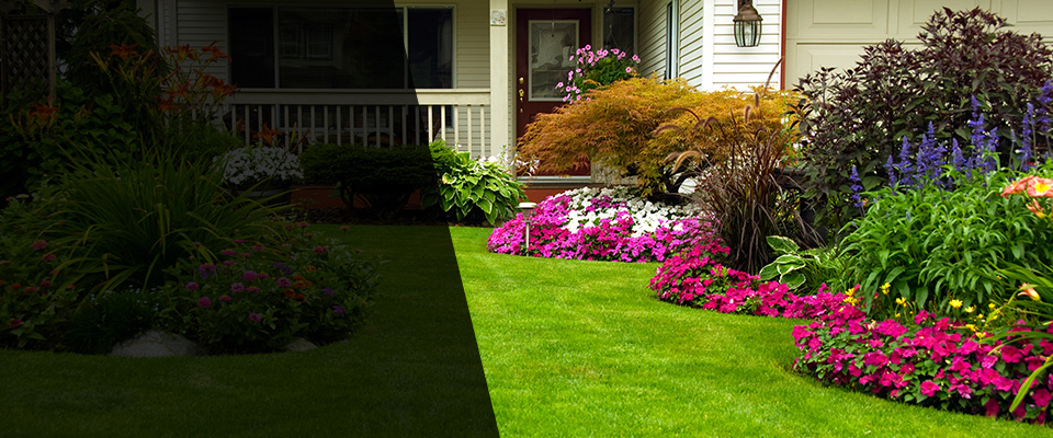 Cicero Landscapers