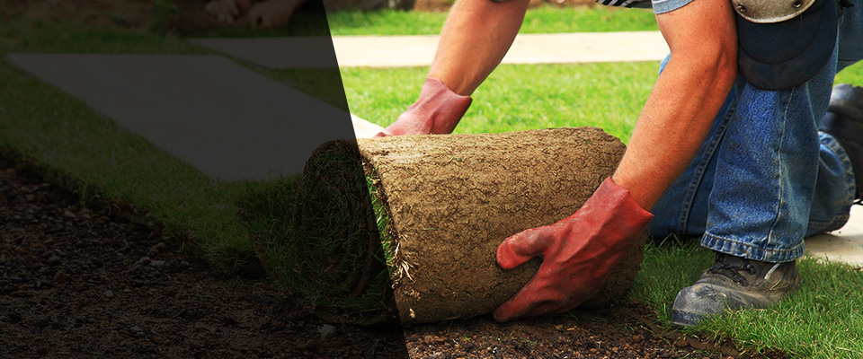 Cicero Landscapers